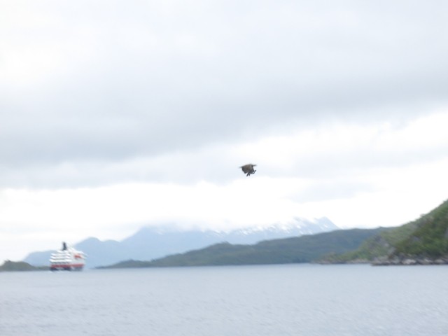 Hurtigruten_2015-06-25_16-29-3